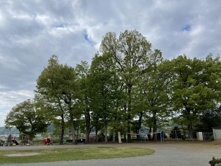 【未就園児事業みんなのあそびば！】令和７年度【わくわく・どんぐり広場】